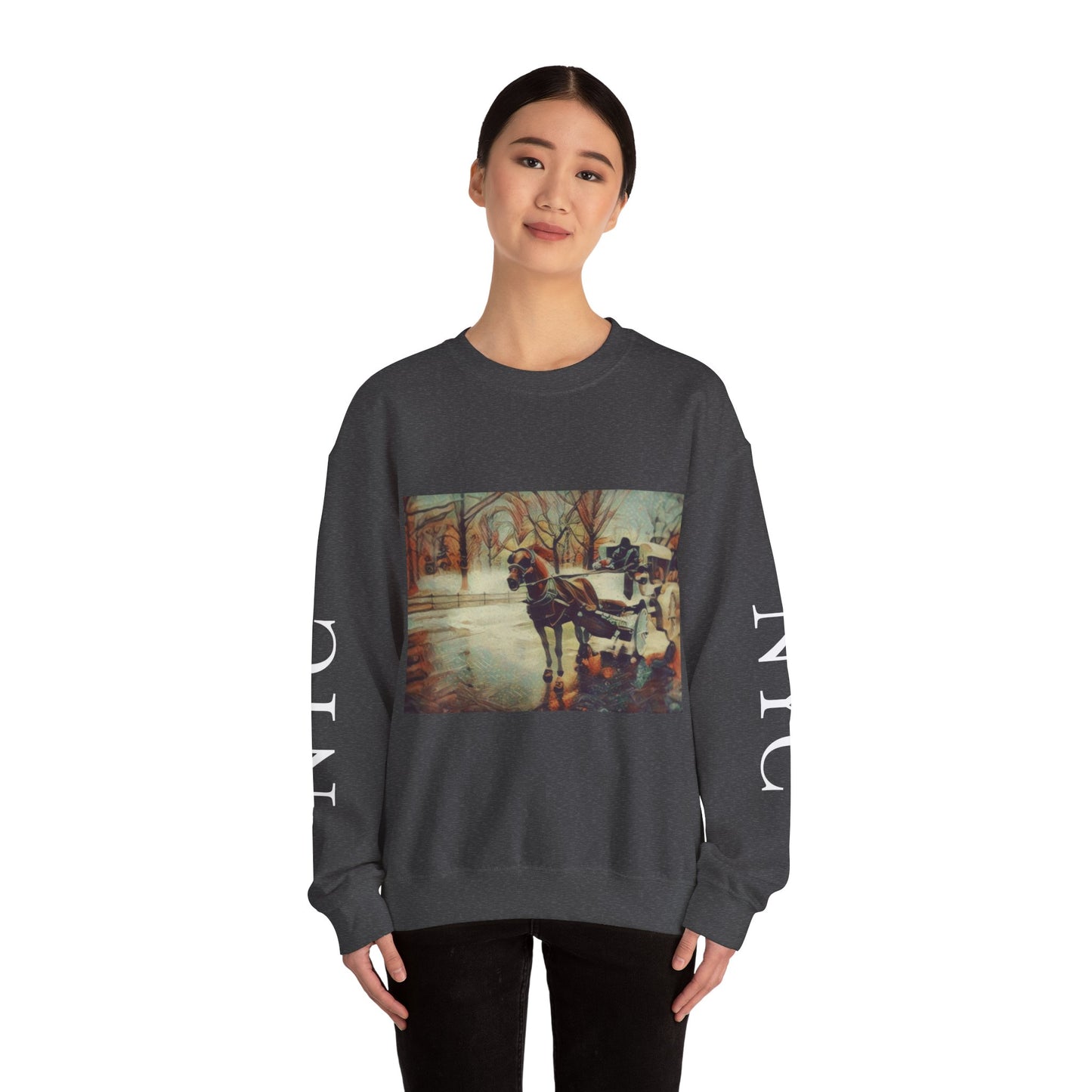 Sweatshirt with "NYC Central Park Hansom Cab"