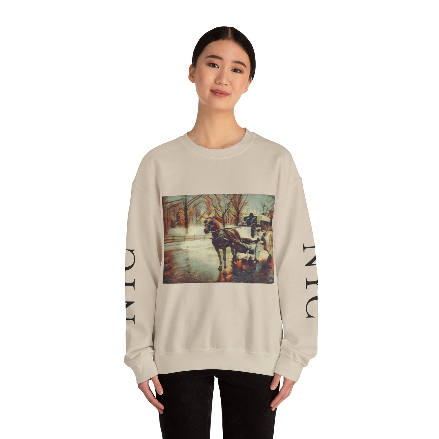 Sweatshirt with "NYC Central Park Hansom Cab"