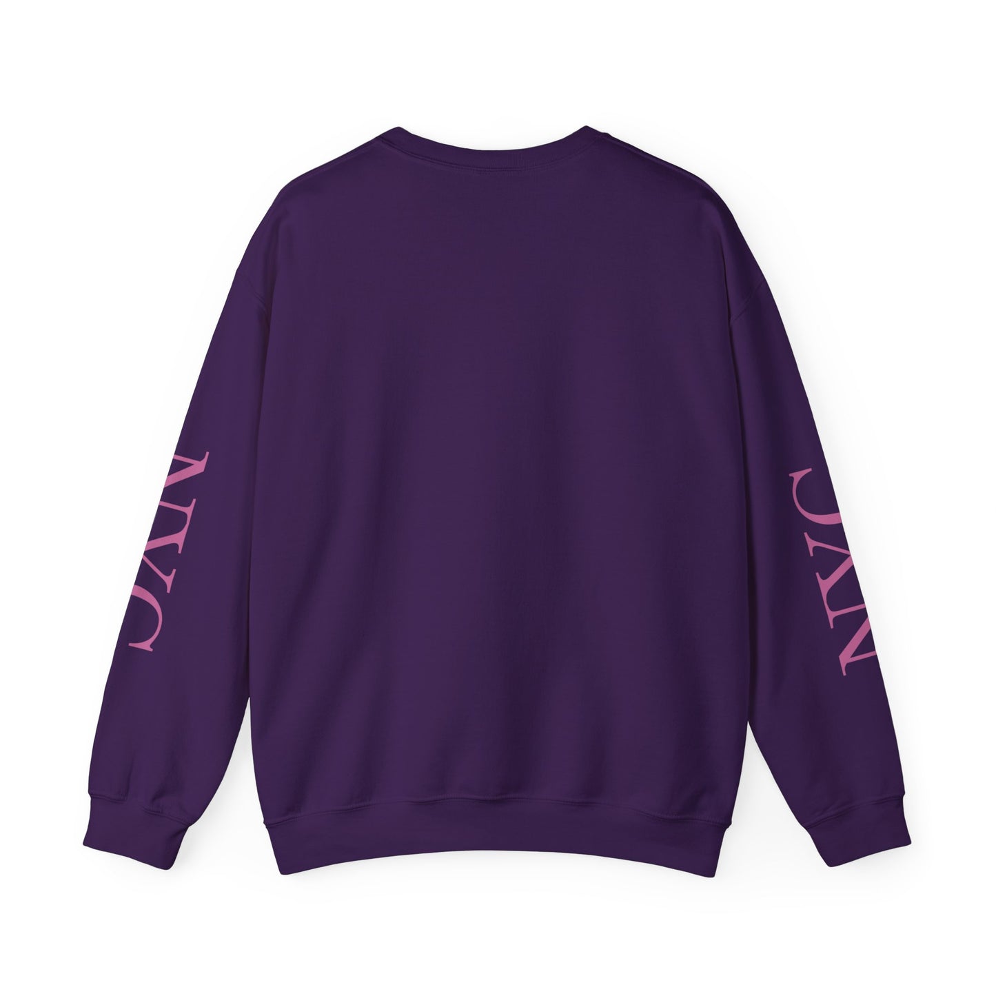 Sweatshirt with "NYC Central Park Hansom Cab"