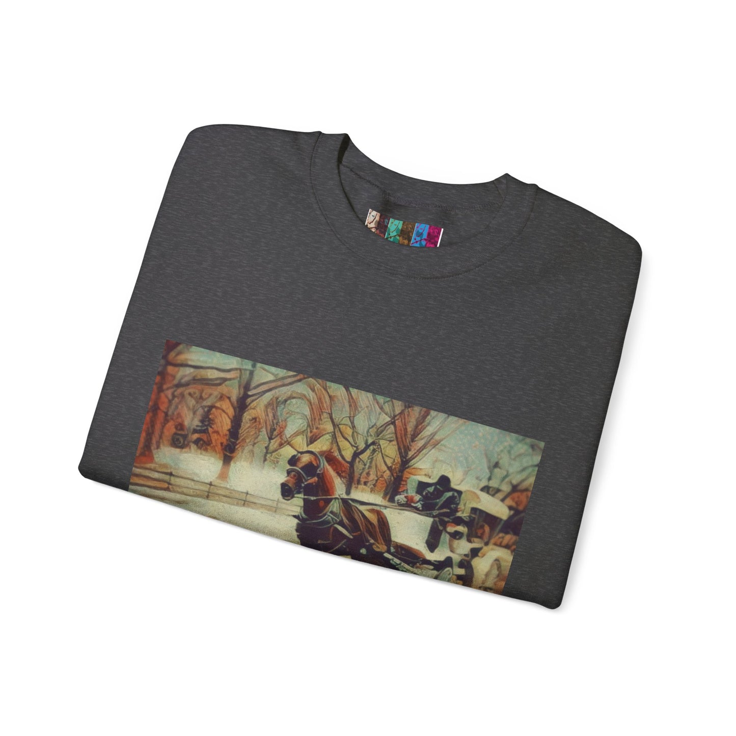 Sweatshirt with "NYC Central Park Hansom Cab"