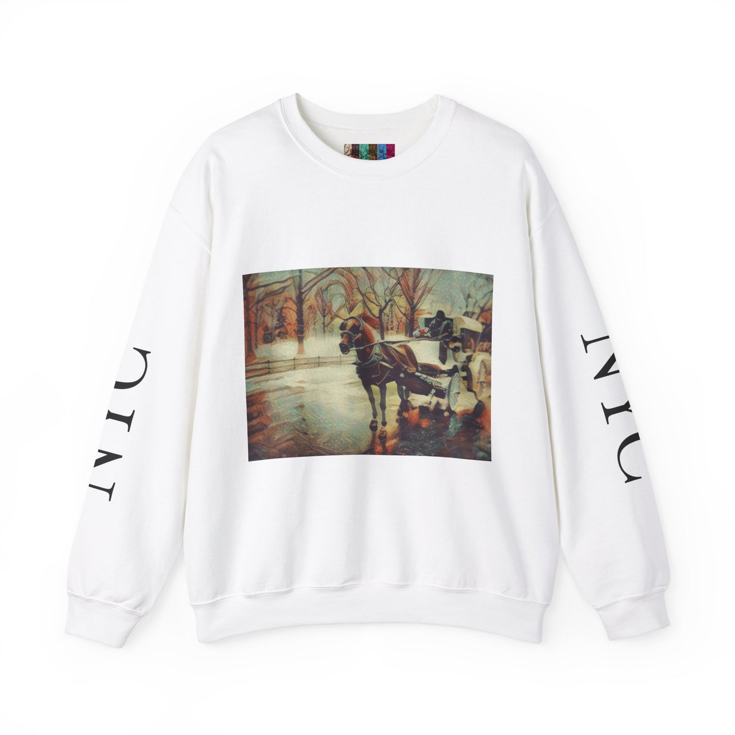 Sweatshirt with "NYC Central Park Hansom Cab"