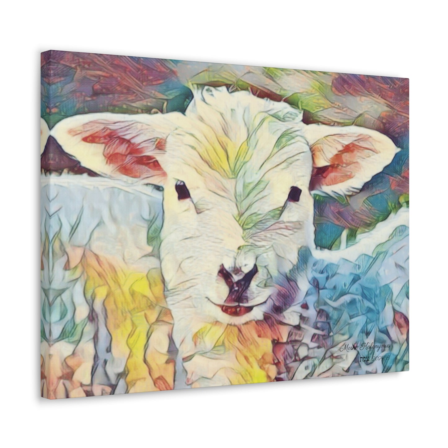 Canvas Gallery Wrap of "Sheep"