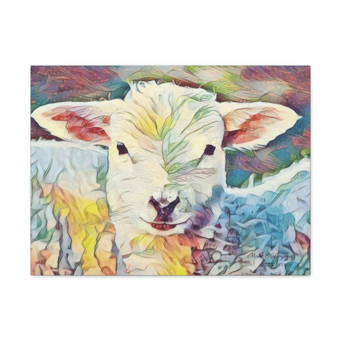 Canvas Gallery Wrap of "Sheep"