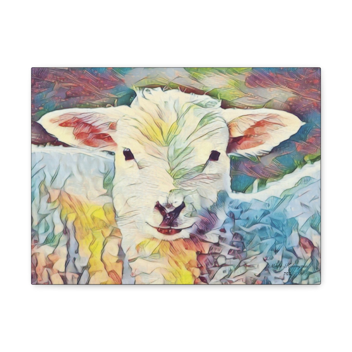 Canvas Gallery Wrap of "Sheep"