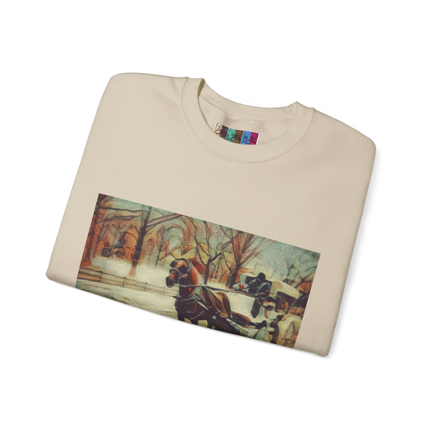 Sweatshirt with "NYC Central Park Hansom Cab"