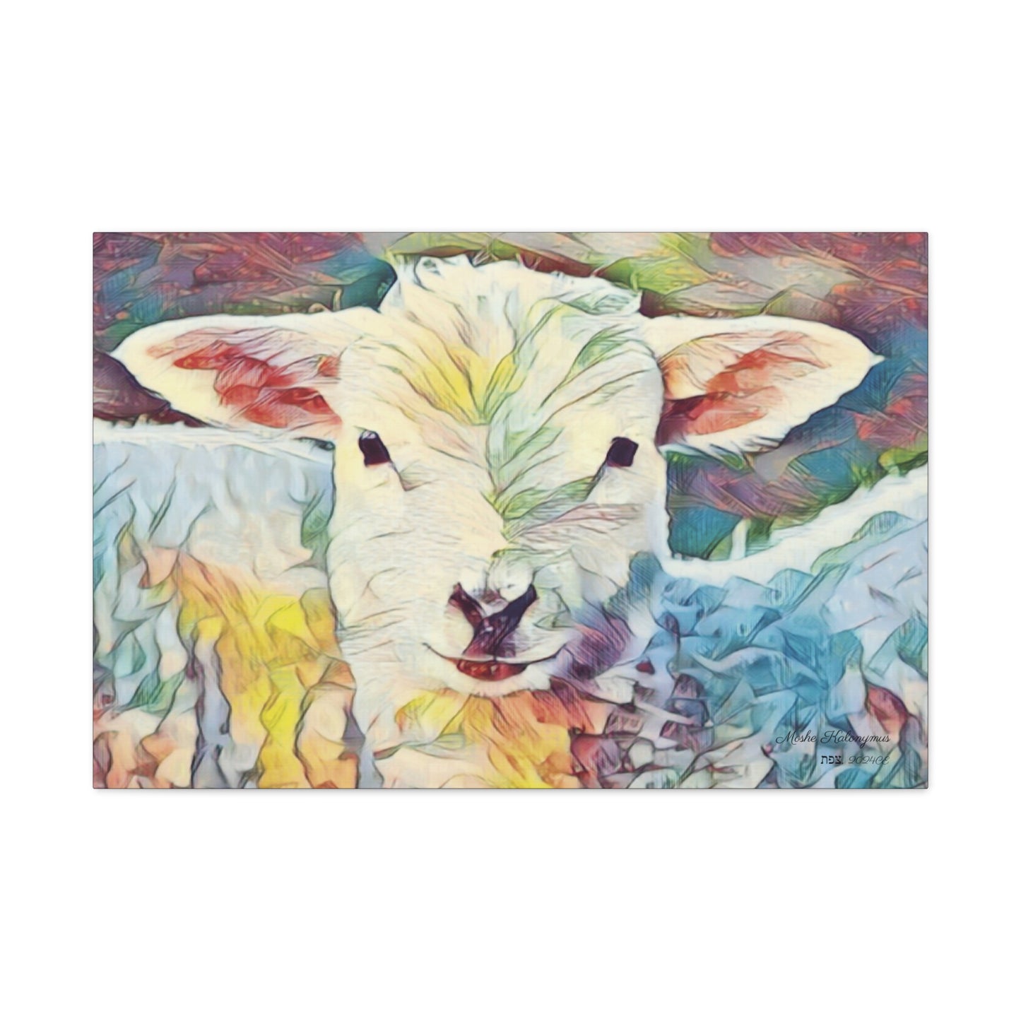 Canvas Gallery Wrap of "Sheep"