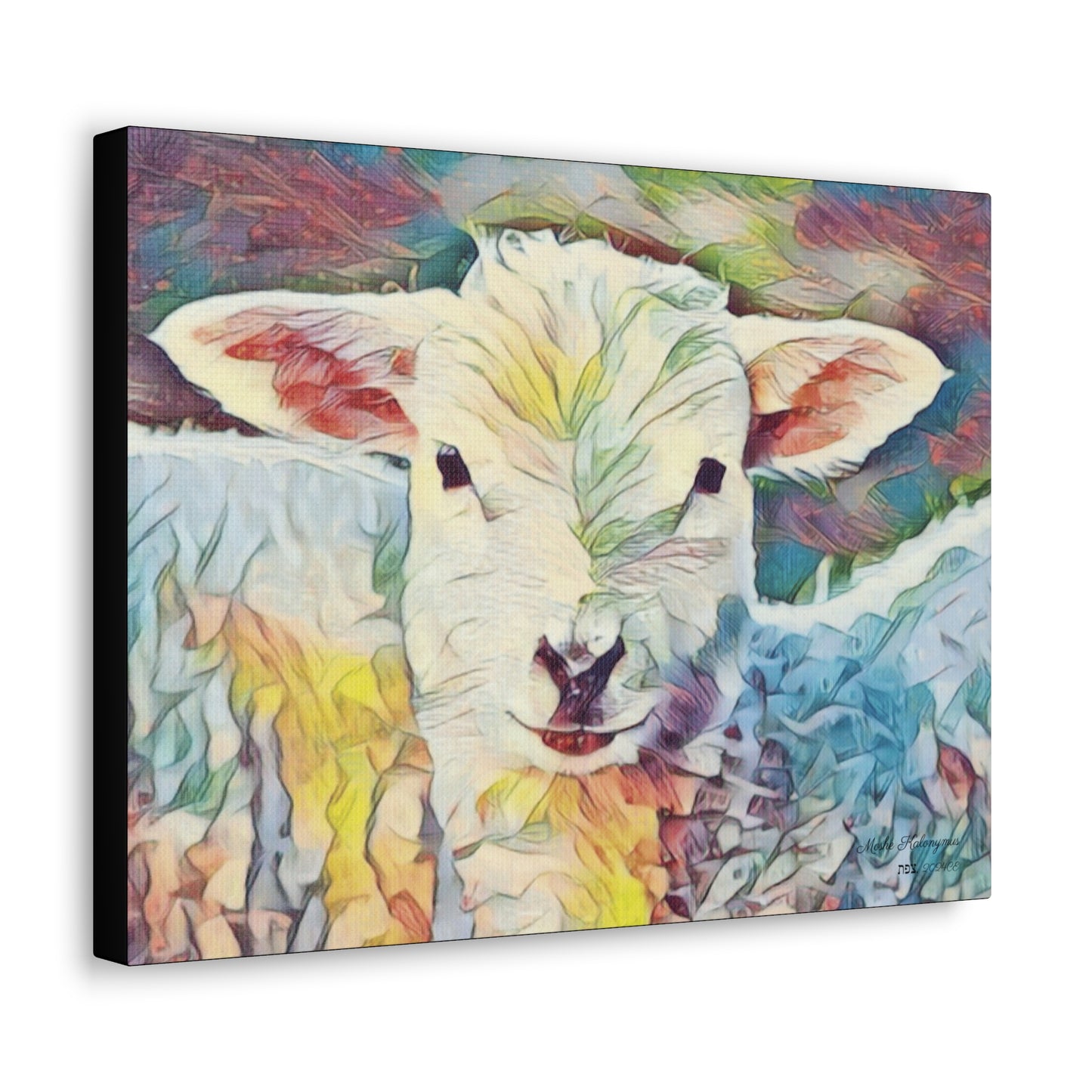 Canvas Gallery Wrap of "Sheep"