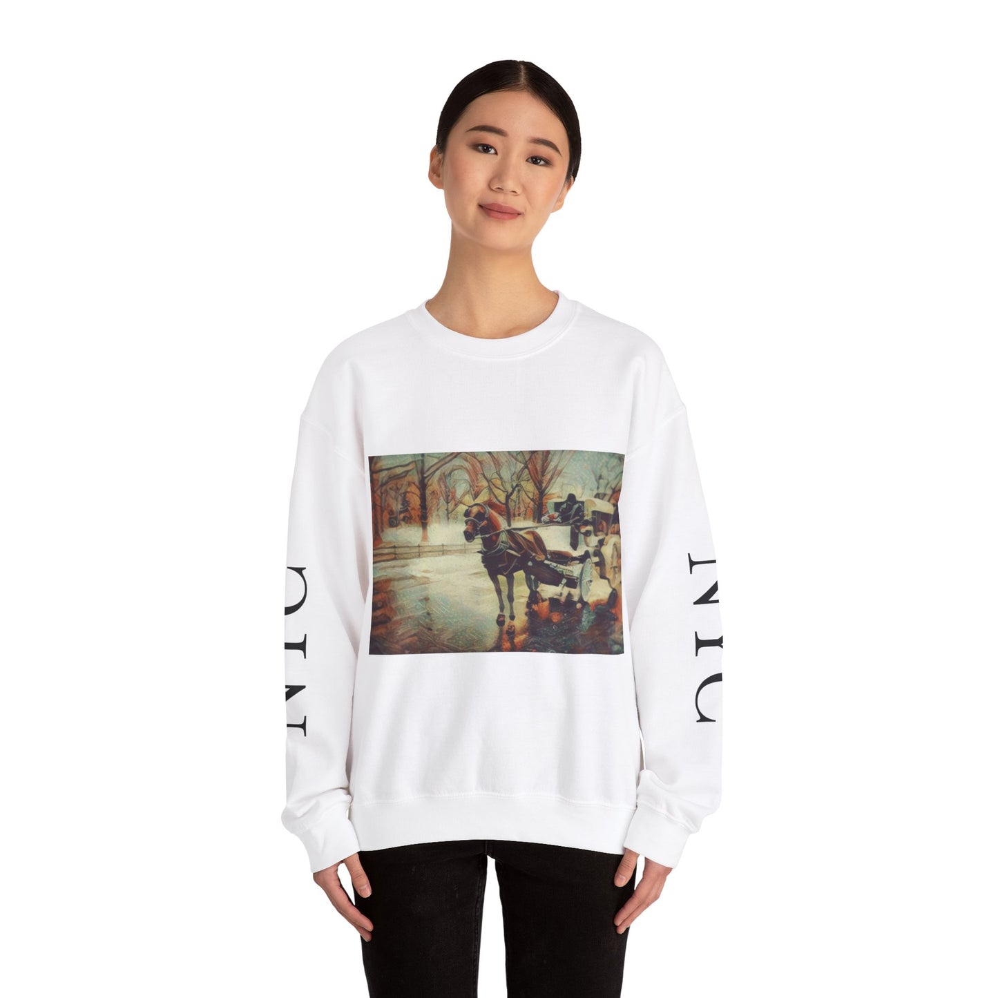 Sweatshirt with "NYC Central Park Hansom Cab"