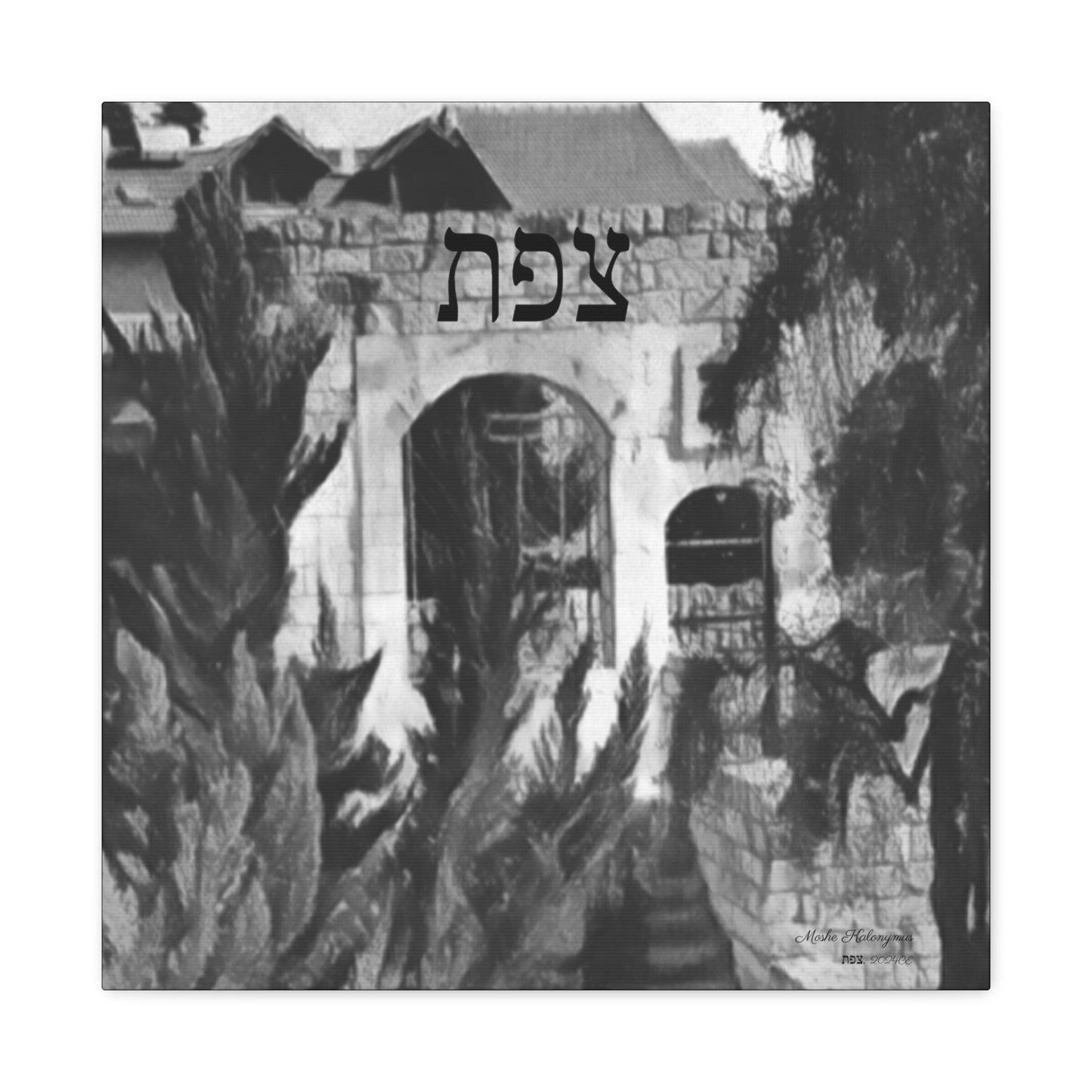 Canvas Gallery Wrap with "Magrave Shul Ruins",  Zefat, Israel [B+ W]