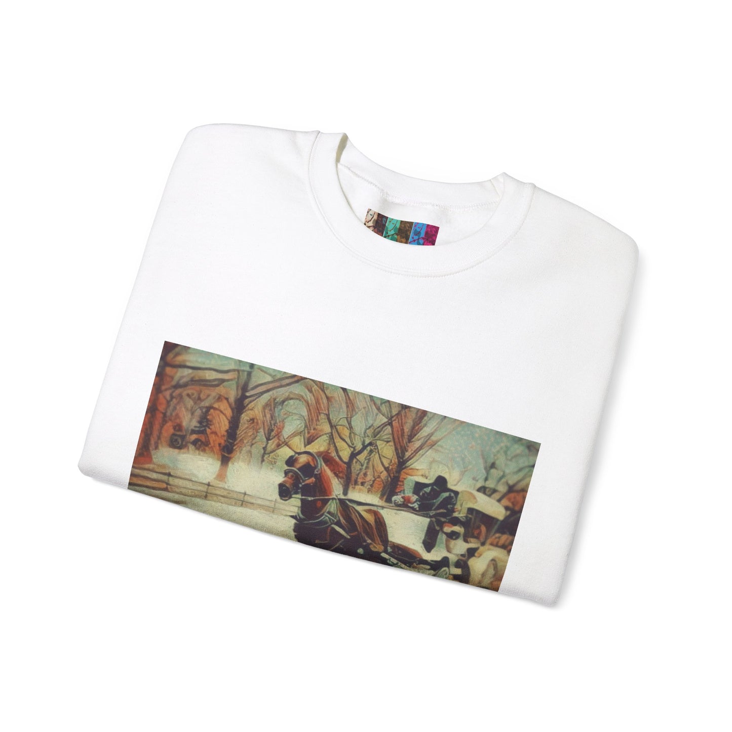 Sweatshirt with "NYC Central Park Hansom Cab"