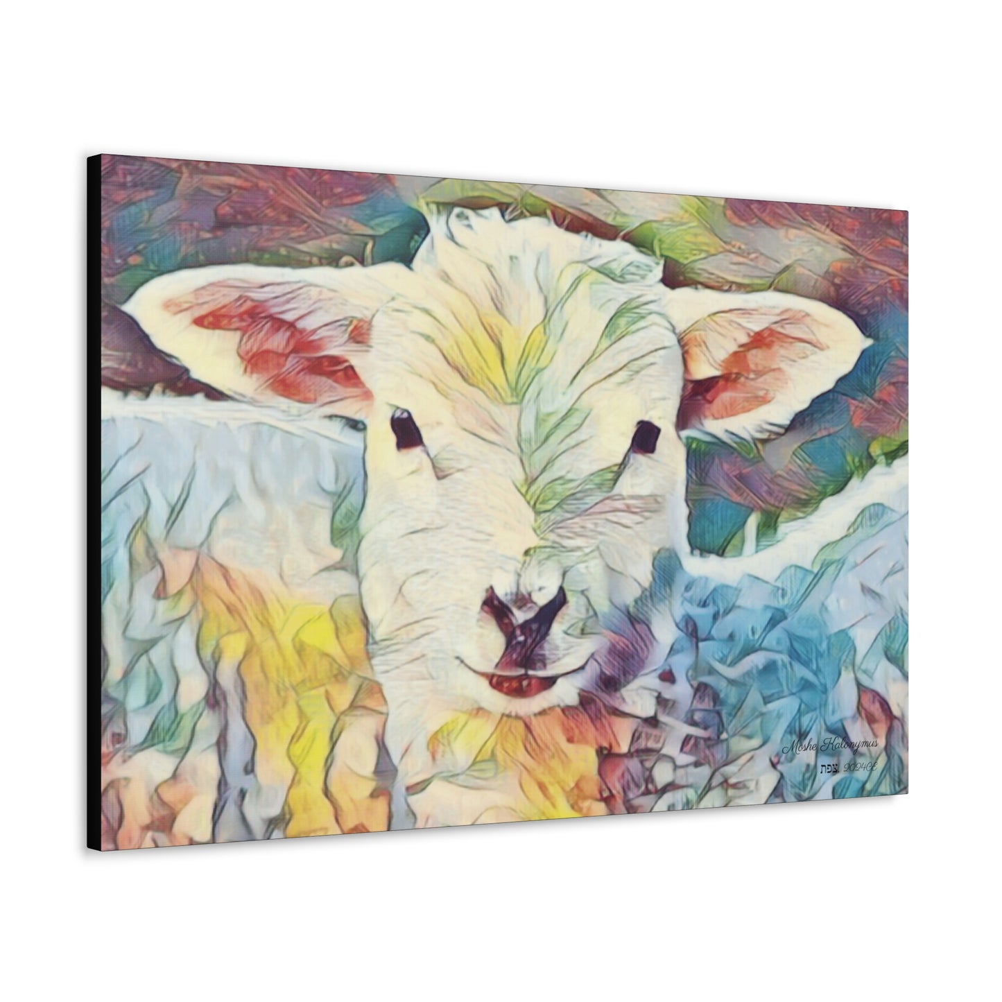 Canvas Gallery Wrap of "Sheep"