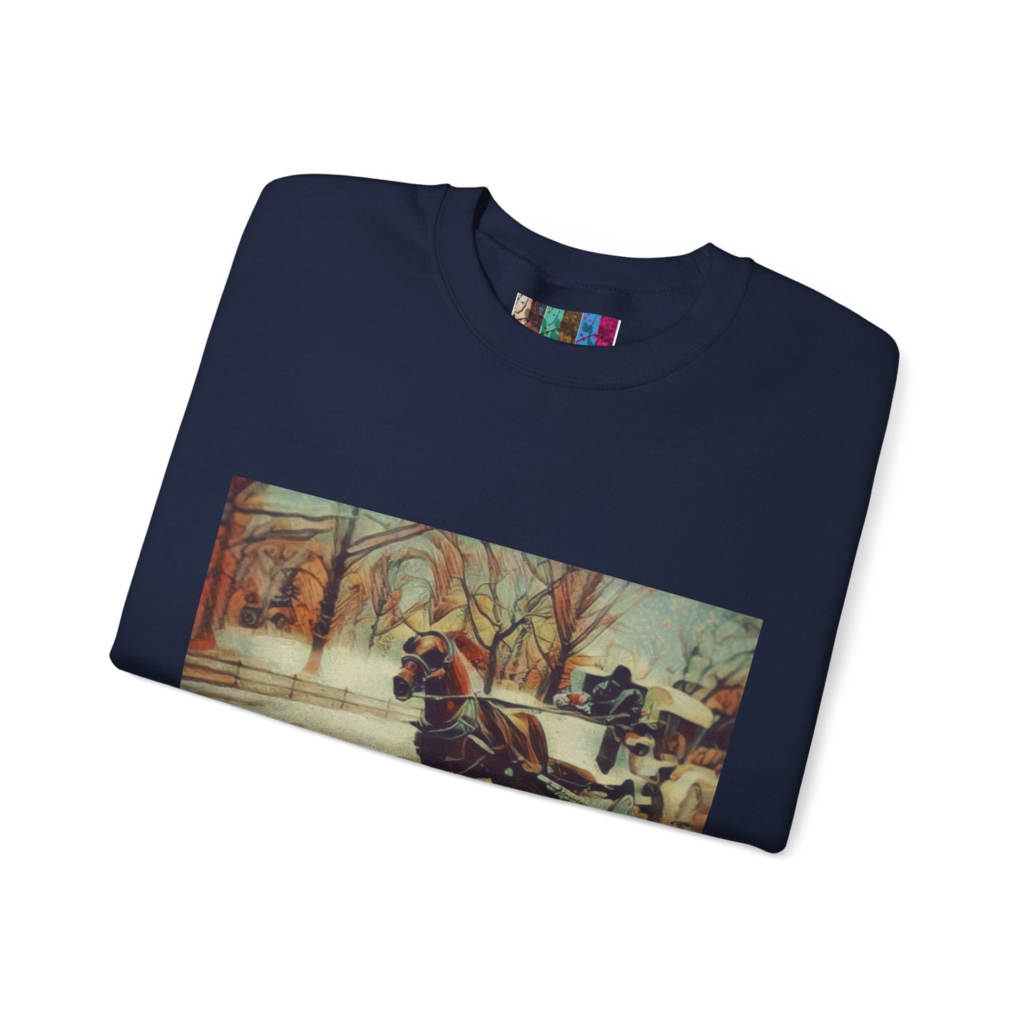 Sweatshirt with "NYC Central Park Hansom Cab"