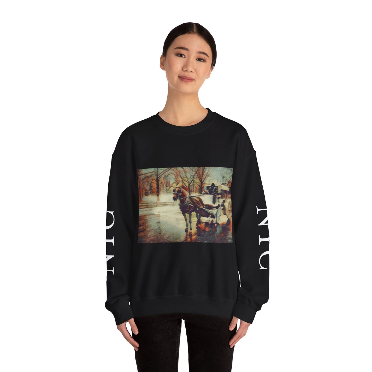 Sweatshirt with "NYC Central Park Hansom Cab"