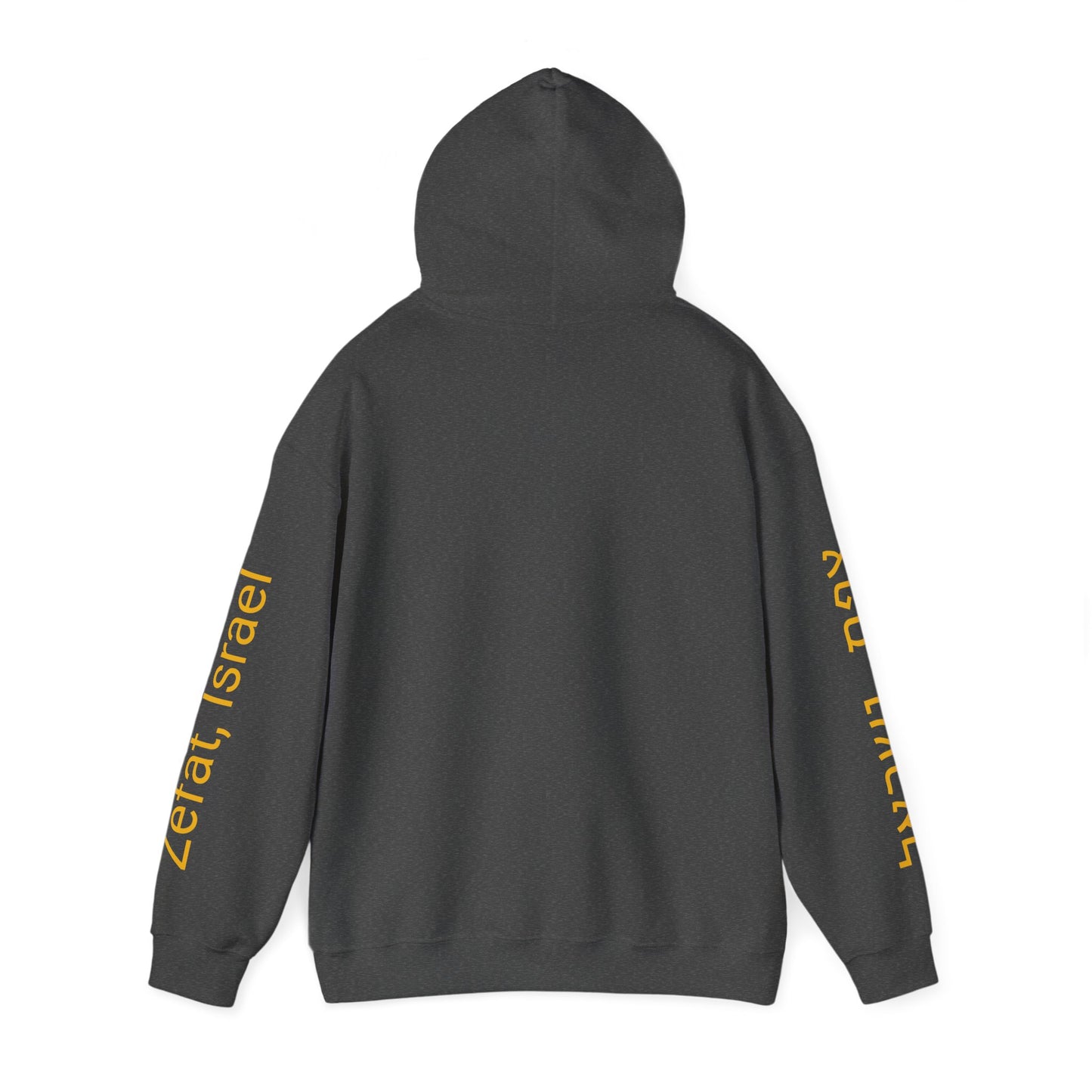 Hooded Sweatshirt with "Zefat View" print Full Color