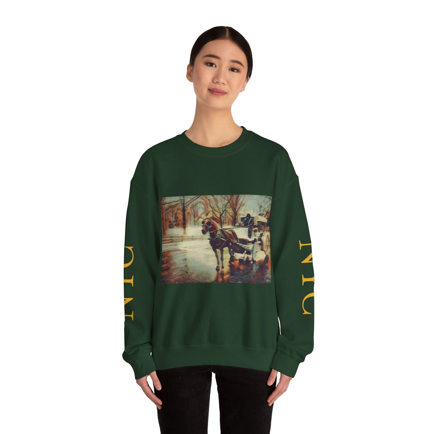 Sweatshirt with "NYC Central Park Hansom Cab"