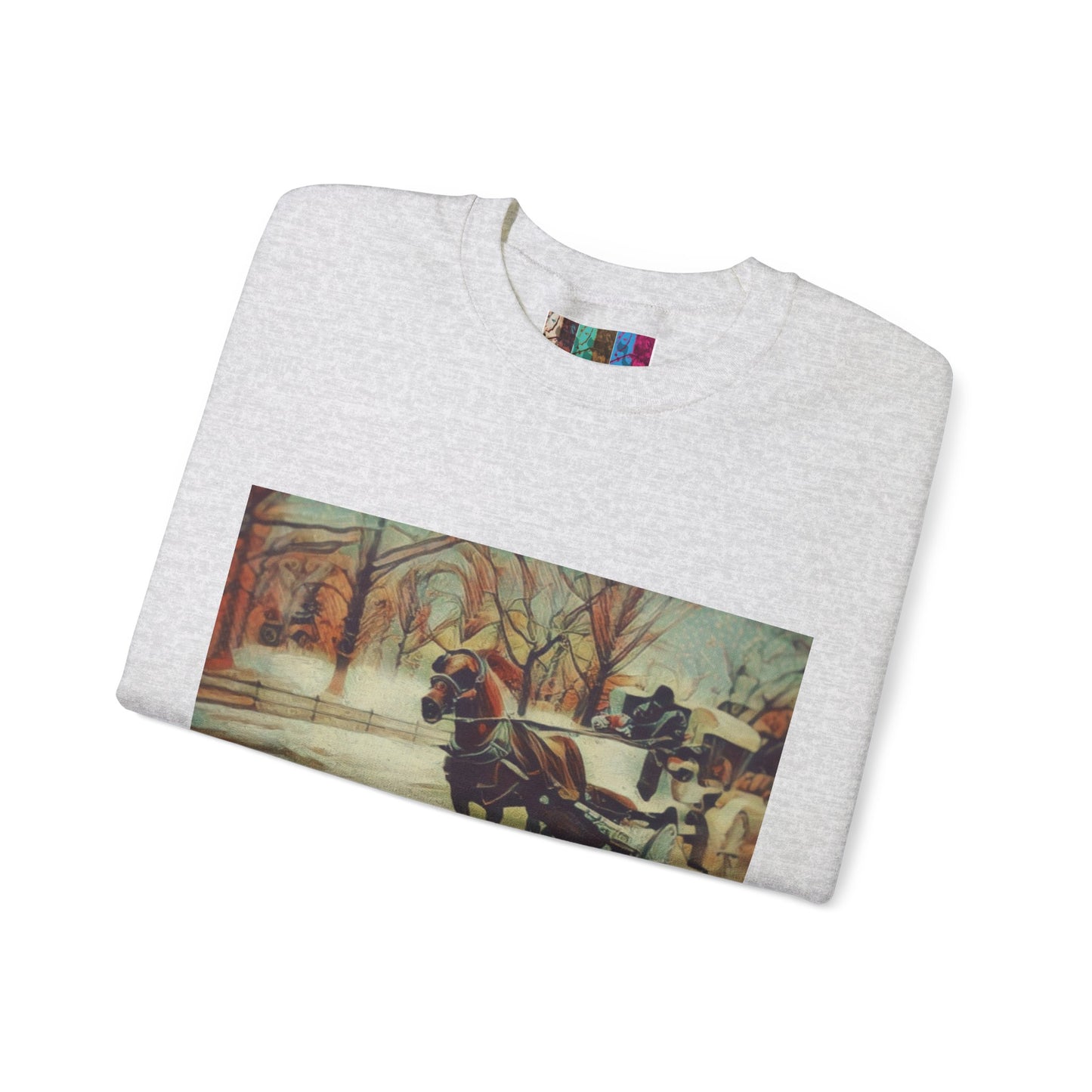 Sweatshirt with "NYC Central Park Hansom Cab"